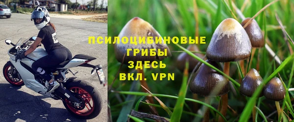 mdpv Алзамай