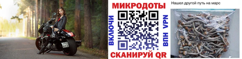 площадка клад  дарнет шоп  Плавск  Псилоцибиновые грибы Cubensis  mega зеркало 