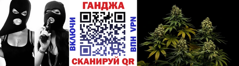 блэк спрут как зайти  Плавск  Каннабис план 